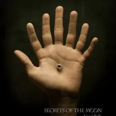 Seven Bells